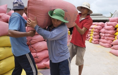 Chính phủ gia hạn thời gian nộp thuế và tiền thuê đất cho doanh nghiệp, hộ kinh doanh